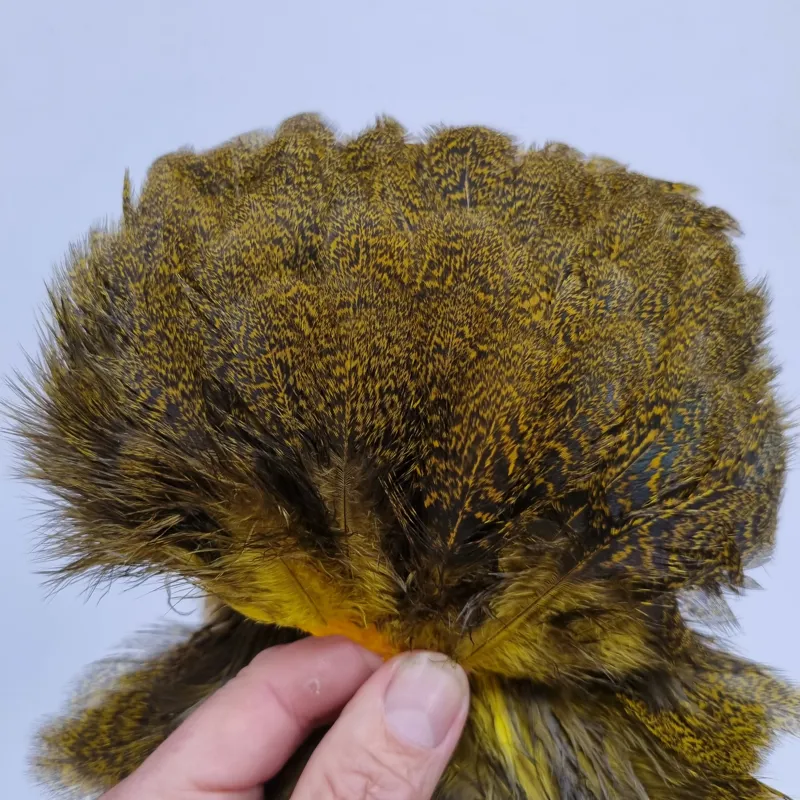 Whiting Coq de Leon Hen Saddle in Speckled Yellow-5